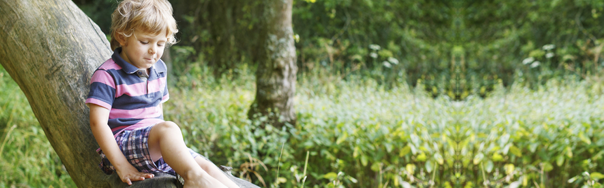 boy sitting on tree trunk